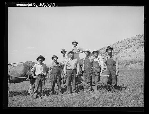Members of the Allen Valley Duster Association, a FSA (Farm Security Administration) cooperative. Sanpete County, Utah