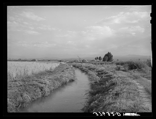 Irrigation ditch leading to farm, Montrose