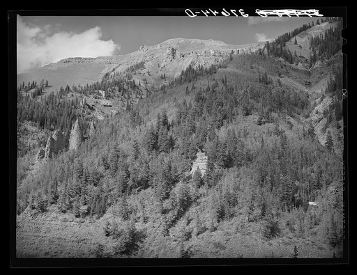 Looking toward and above timberline. Telluride, Colorado
