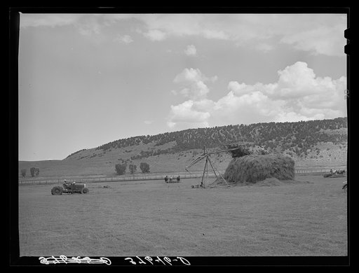 Putting up hay with homemade tractor and stacker. Ouray County, Colorado