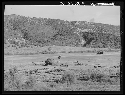 Untitled photo, possibly related to: Putting up hay in a mountain valley in Ouray County