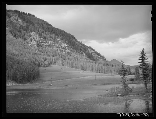Mountain lake and meadows. La Plata County, Colorado. These high mountain meadows are utilized by sheepmen for summer grazing