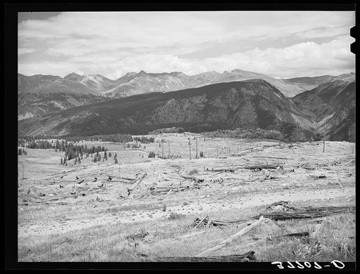 Results of deforestation during the early mining days, in region around Electra Lake. San Juan County, Colorado