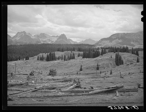Results of deforestation during the early mining days. San Juan County, Colorado