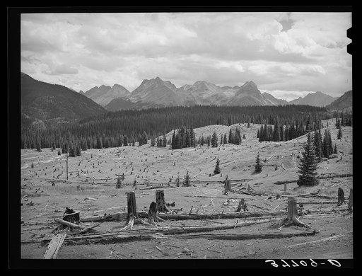 Results of deforestation during the early mining days. San Juan County, Colorado