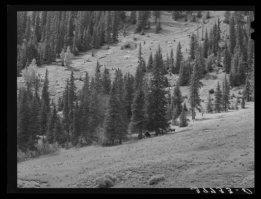 Mountain side with sheepherders camp. San Juan County, Colorado