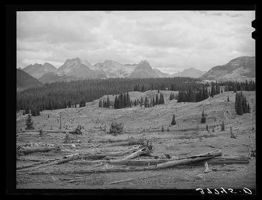 Untitled photo, possibly related to: Results of deforestation during the early mining days. San Juan County, Colorado