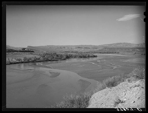 Silted bed of the Virgin River in Washington County, Utah. See general caption