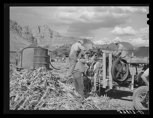 Extracting juice from cane on farm in Ivins, Washington County, Utah. See general caption