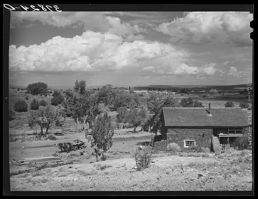 Untitled photo, possibly related to: Farmstead. Concho, Arizona