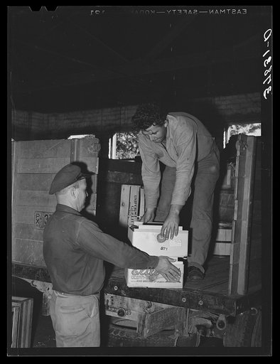 Loading fruit into truck for shipment at produce company warehouse. Santa Clara, Utah. See general caption
