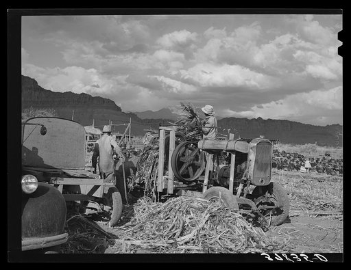 Untitled photo, possibly related to: Extracting juice from cane. Ivins, Washington County, Utah. See general caption