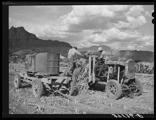 Extracting juice from cane. Ivins, Washington County, Utah. See general caption