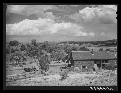 Farmstead. Concho, Arizona
