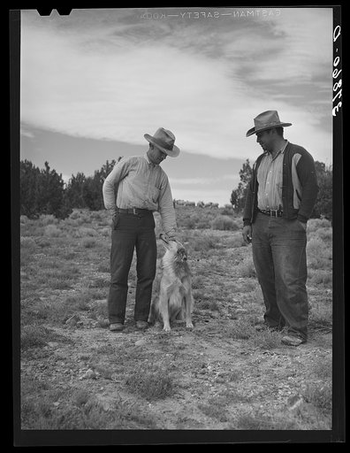 Sheepherders of the Candelaria brothers. Concho, Arizona