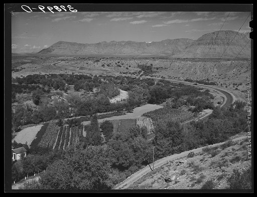 Small, irrigated, very productive farm. Santa Clara, Utah. See general caption