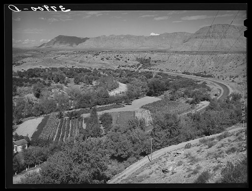 Untitled photo, possibly related to: Small, irrigated, very productive farm. Santa Clara, Utah. See general caption