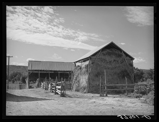 Building on Mormon farm. Santa Clara, Utah. See general caption