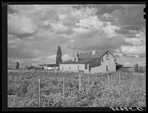 Farmstead, Concho, Arizona. Notice the peppers drying on the house. This is an oftseen sight in all Spanish-American communities