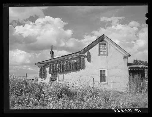 Adobe house with chili peppers drying. Concho, Arizona