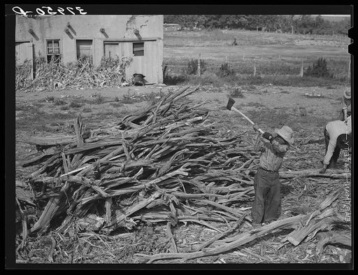 Chopping wood for winter fuel. Concho, Arizona