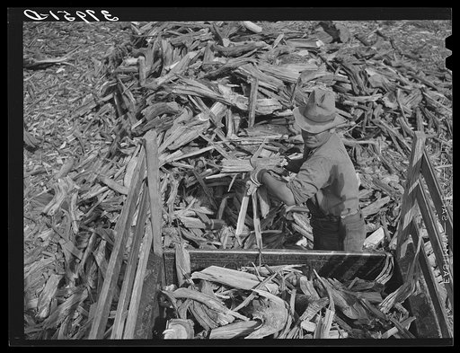 Untitled photo, possibly related to: Chopping wood for winter fuel. Concho, Arizona