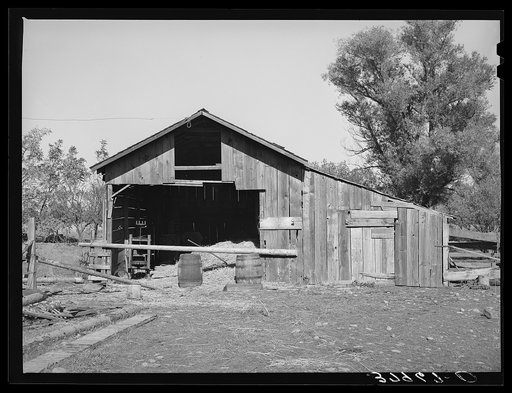 Barn of Perry Warner, small farmer in Tehama County, California
