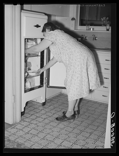 Houses at Mineral King cooperative farm. Tulare County, California.They are equipped with electric refrigerators