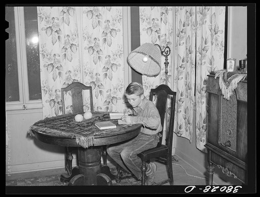 Son of Mr. Schmidt, member of Mineral King cooperative farm, doing his homework. Tulare County, California