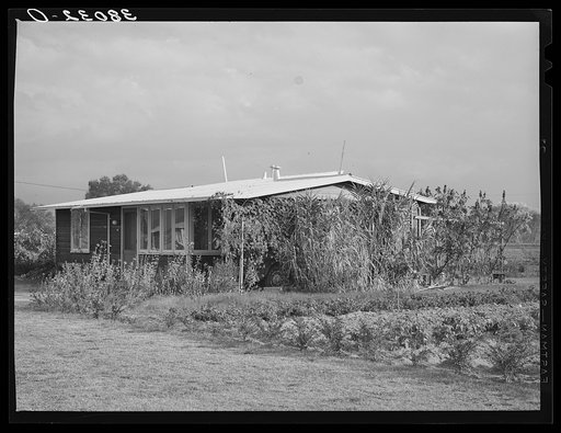 Untitled photo, possibly related to: House of member of the Mineral King cooperative farm. Tulare County, California