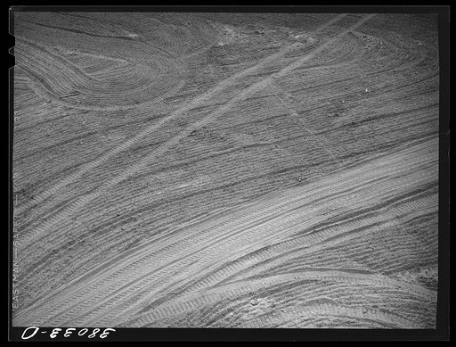Tracks of tractors and implements. Mineral King cooperative farm. Tulare County, California