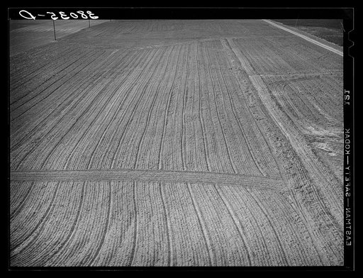 Field after being harrowed at the Mineral King cooperative farm. Tulare County, California