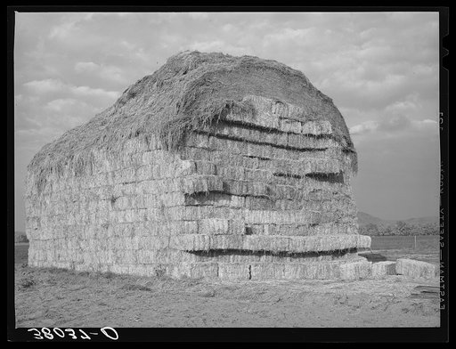 Stack of baled hay at the Mineral King cooperative farm. Tulare County, California
