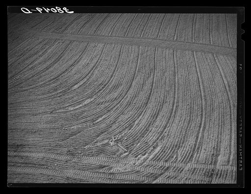 Detail of field after being harrowed at Mineral King cooperative farm. Tulare County, California