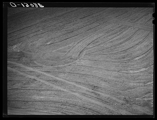 Untitled photo, possibly related to: Detail of field after being harrowed at Mineral King cooperative farm. Tulare County, California