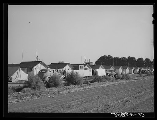 Housing for white transient workers at Giffen Ranch. Southwest Mendota, California