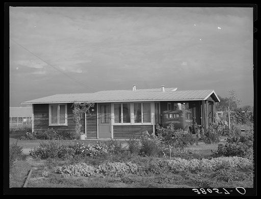 House of member on the Mineral King cooperative farm. Tulare County, California