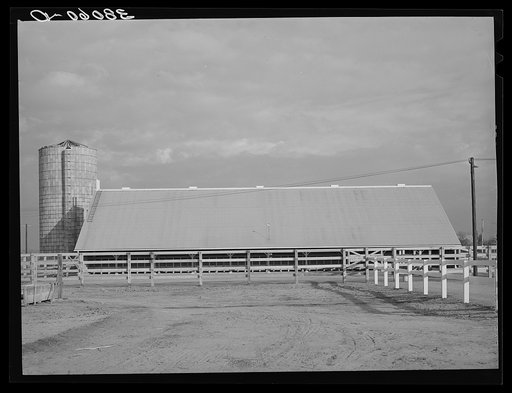 Barn. Mineral King cooperative farm. Tulare County, California