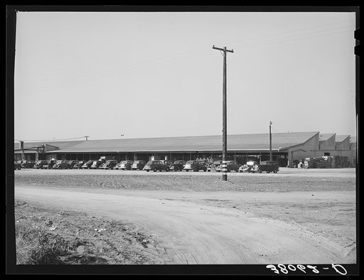 Packing sheds at the Earl Fruit Company ranch. Kern County, California
