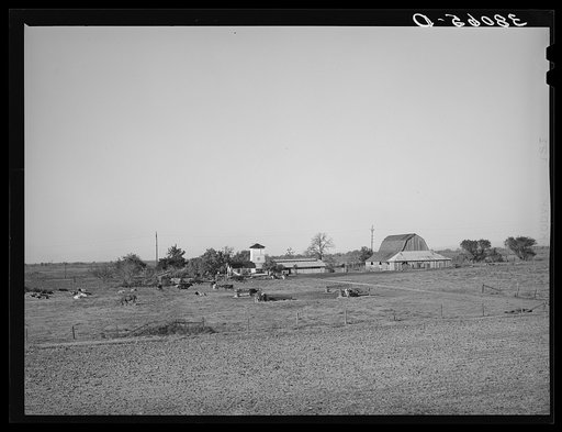 Farmstead of Carl Rubel, successful dairy farm operator. Yuba County, California