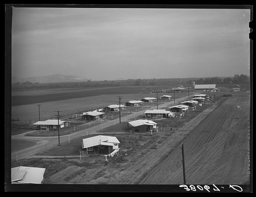 Untitled photo, possibly related to: Genearl view of houses for members of Mineral King cooperative farm. Visalia, California