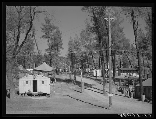 Tourist camp which has been enlarged to accommodate trailers of construction workers of Shasta Dam, Shasta County, California