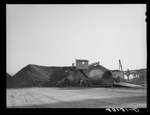 Unloader and pile of sugar beets at sugar beet processing plant. Lewiston, Utah
