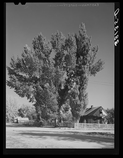 Home of Mormon farmer. Tropic, Utah