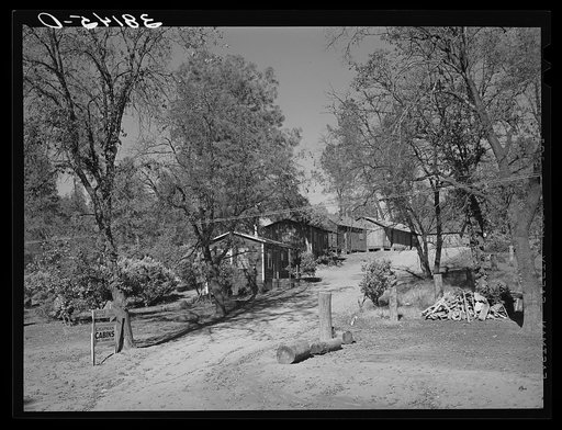 Tourist court near Summit City, California. This camp is used by the construction workers at Shasta Dam for living quarters