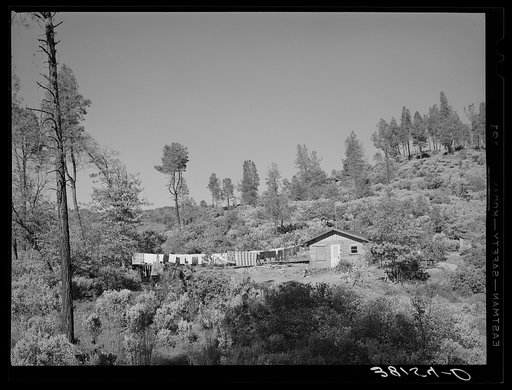 Many construction workers at Shasta Dam have built crude houses in the woods near the dam. Shasta County, California