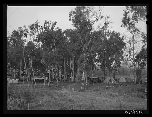 Trailer and tent-camp at Mission Valley, California, which is about three miles from San Diego. The charge for pitching tents in this camp is two dollars and fifty  cents per week and rental fee entitles campers to electricity and use of sanitary facilities, shower and toilet. Electric washing machi