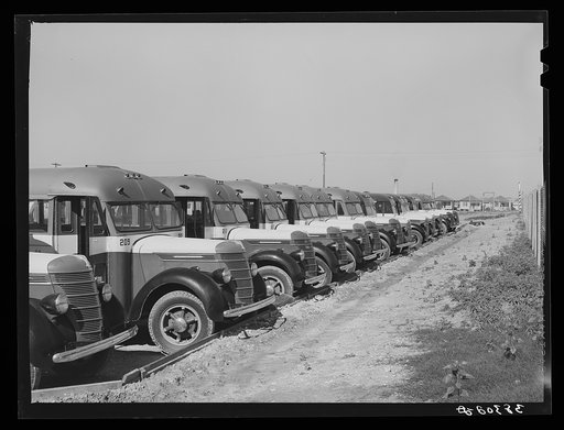 Line up of buses used to transport workmen to the construction work at the naval air training base. Corpus Christi, Texas