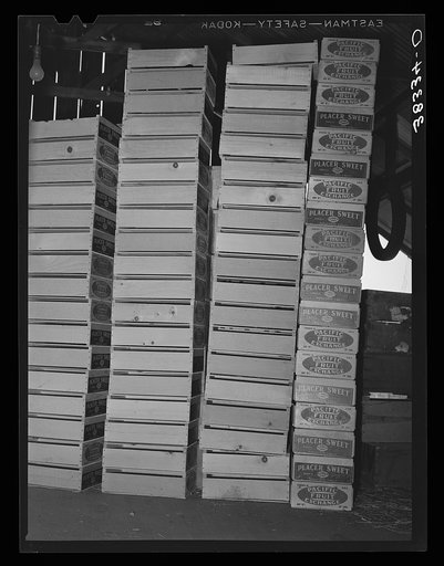 Fruit crates. Loomis, California