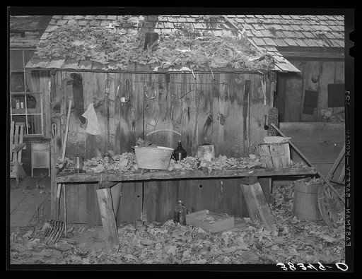 Side of shed of fruit farmer in the fall. Placer County, California